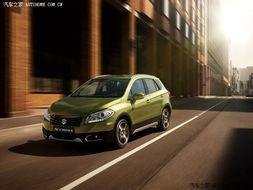 国产在线s,探索本土原创内容新篇章 国产在线s,探索本土原创内容新篇章