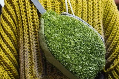 青青青草国产免费观看,国产免费观看,绿色生态影视盛宴 青青青草国产免费观看,国产免费观看,绿色生态影视盛宴